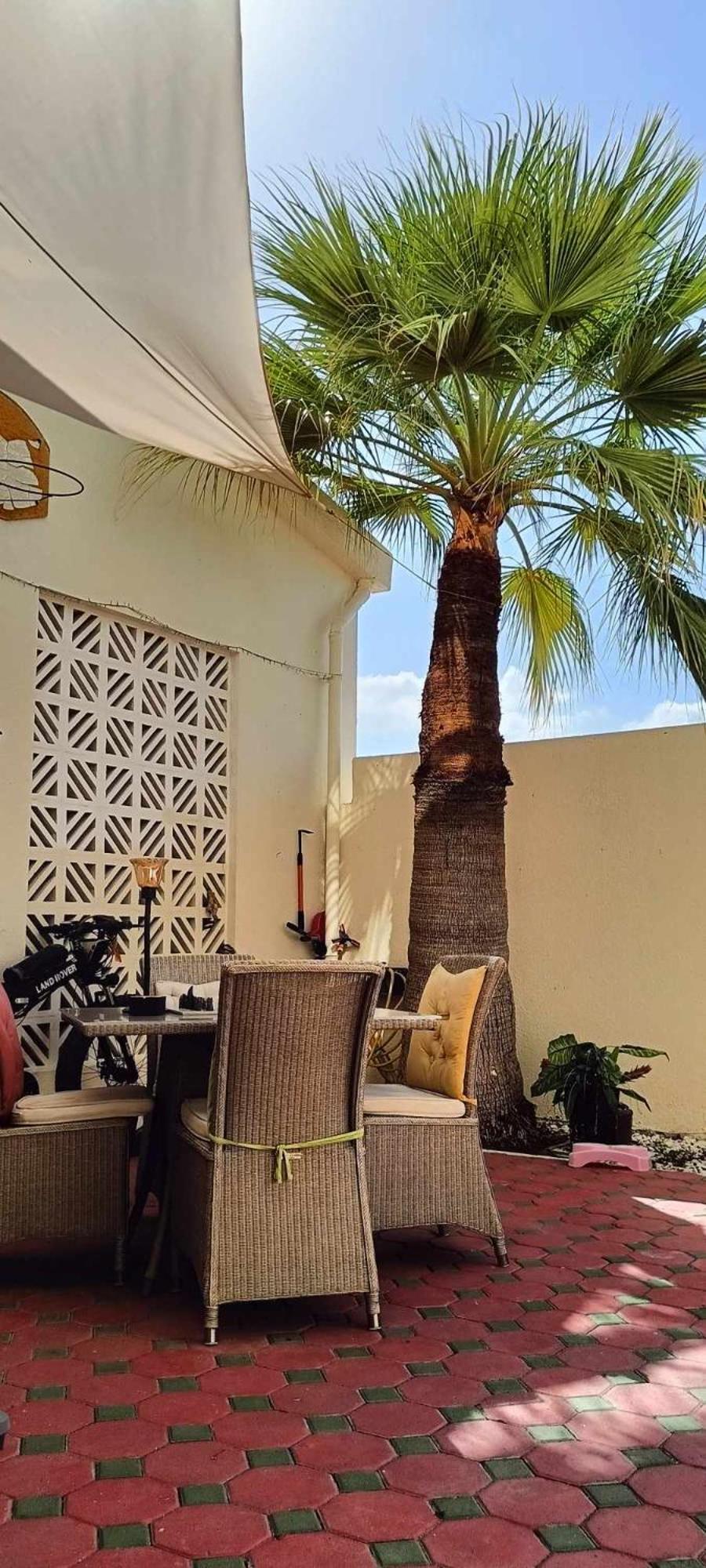 Jumeirah Beach Villa Dubai Exterior photo